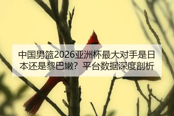 中国男篮2026亚洲杯最大对手是日本还是黎巴嫩？平台数据深度剖析